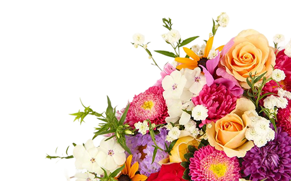 hero flower